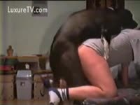 Sodomized by his dog